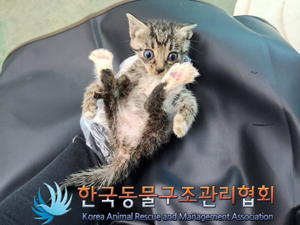 종료(자연사) 한국…